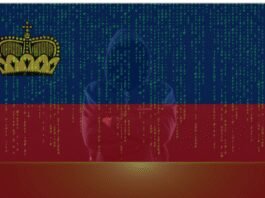 liechtenstein-says-hackers-access-information-on-31,000-legal-entities