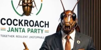how-india’s-‘cockroach’-movement-grew-its-wings