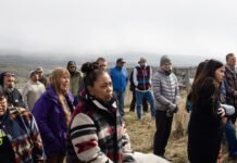 solar-developer-cancels-washington-state-project-on-sacred-indigenous-land