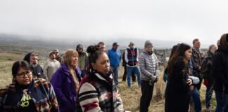 solar-developer-cancels-washington-state-project-on-sacred-indigenous-land