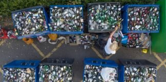 is-the-recycling-symbol-free-speech?-a-judge-just-ruled-it-could-be.