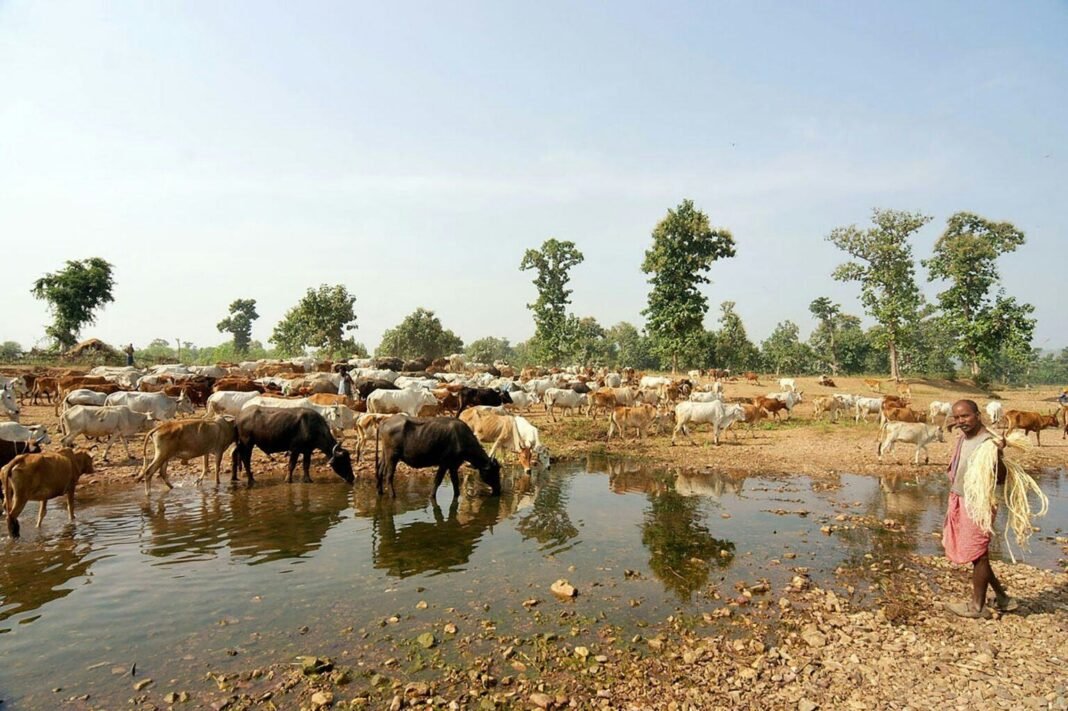 india’s-environmental-crisis-undermines-its-great-power-ambitions