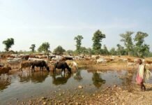 india’s-environmental-crisis-undermines-its-great-power-ambitions
