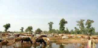 india’s-environmental-crisis-undermines-its-great-power-ambitions