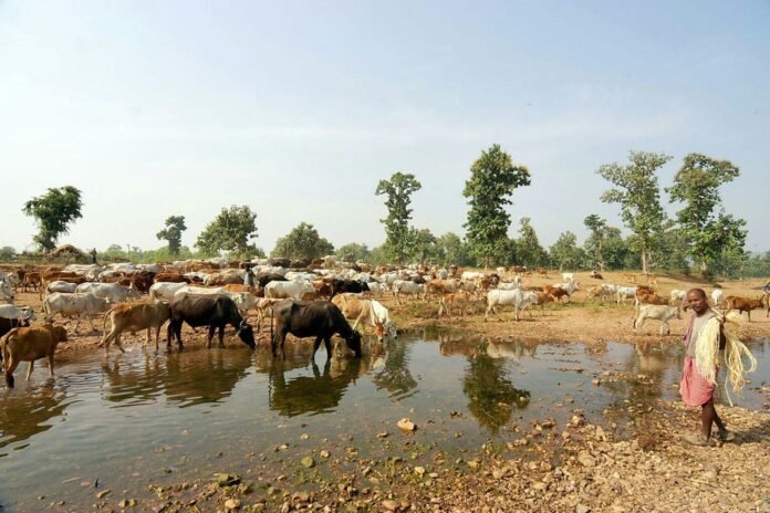 india’s-environmental-crisis-undermines-its-great-power-ambitions