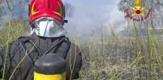 sicily-issues-red-heat-alerts-for-palermo-and-catania-as-wildfire-risk-rises