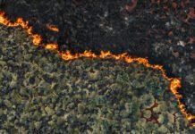 Senators demand crackdown on wildfire “prediction markets” senators-demand-crackdown-on-wildfire-“prediction-markets”