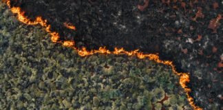 senators-demand-crackdown-on-wildfire-“prediction-markets”