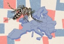 west-nile-virus-cases-rise-across-europe-as-greece-reports-surge-and-germany-confirms-first-infection