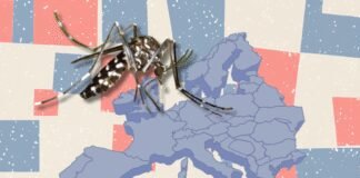 west-nile-virus-cases-rise-across-europe-as-greece-reports-surge-and-germany-confirms-first-infection