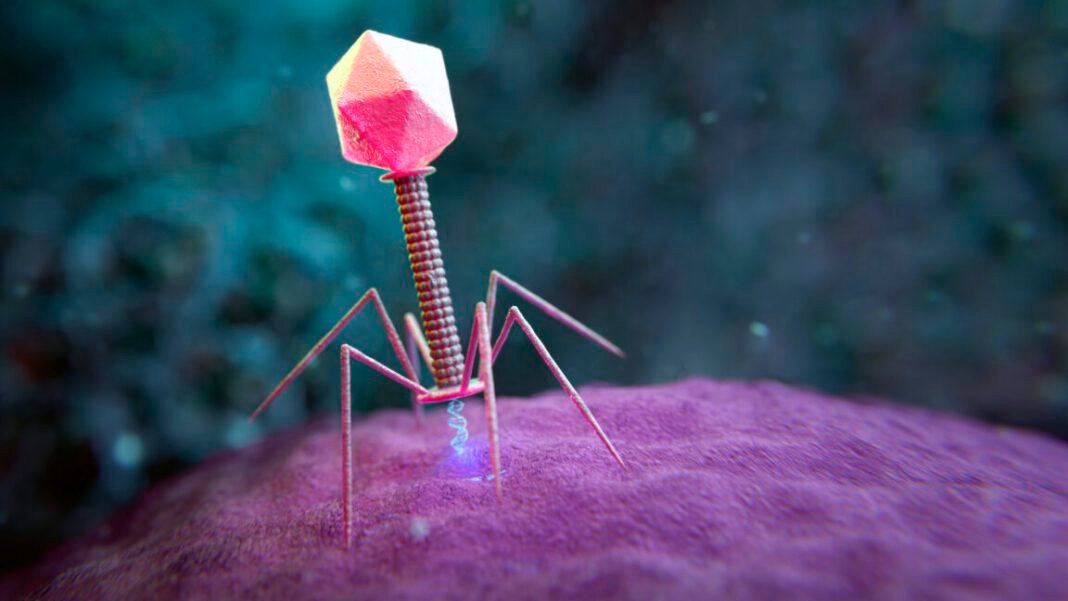 large-genome-models-used-to-design-new-viruses large-genome-models-used-to-design-new-viruses