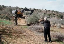 israel-orders-uprooting-of-trees-on-316-dunums-in-west-bank-for-settlement-expansion
