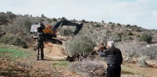 israel-orders-uprooting-of-trees-on-316-dunums-in-west-bank-for-settlement-expansion