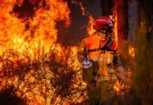 europe’s-wildfires-have-raised-the-danger-posed-by-unexploded-wwii-bombs