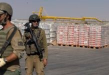 un-nutrition-survey-challenges-gaza-famine-narrative 