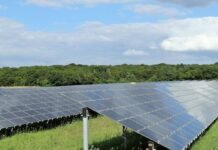 trump-imposes-new-tariffs-on-polysilicon-to-curb-china’s-supply-chain-dominance
