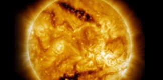 the-world’s-biggest-solar-telescope-caught-vortexes-on-the-sun’s-surface