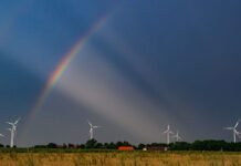 trump-is-losing-his-war-on-wind-power
