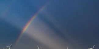 trump-is-losing-his-war-on-wind-power