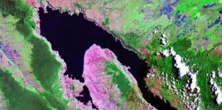 mount-toba-eruption-doesn’t-seem-like-it-could-nearly-kill-our-species