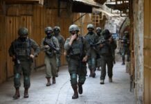 un-experts-condemn-surge-in-attacks-on-palestinians-across-occupied-territories