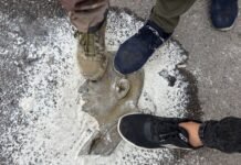 syria-sentences-bashar-al-assad-to-death