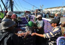 beyond-oil:-the-resources-reshaping-the-middle-east-and-africa