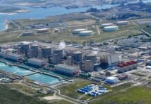 french-nuclear-facility-hit-by-jellyfish-influx-on-anniversary-of-previous-disruption