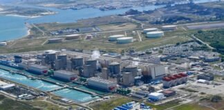 french-nuclear-facility-hit-by-jellyfish-influx-on-anniversary-of-previous-disruption