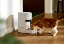 pet-owners-say-smart-pet-feeder-outage-led-to-furry-ones-going-unfed