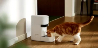 pet-owners-say-smart-pet-feeder-outage-led-to-furry-ones-going-unfed
