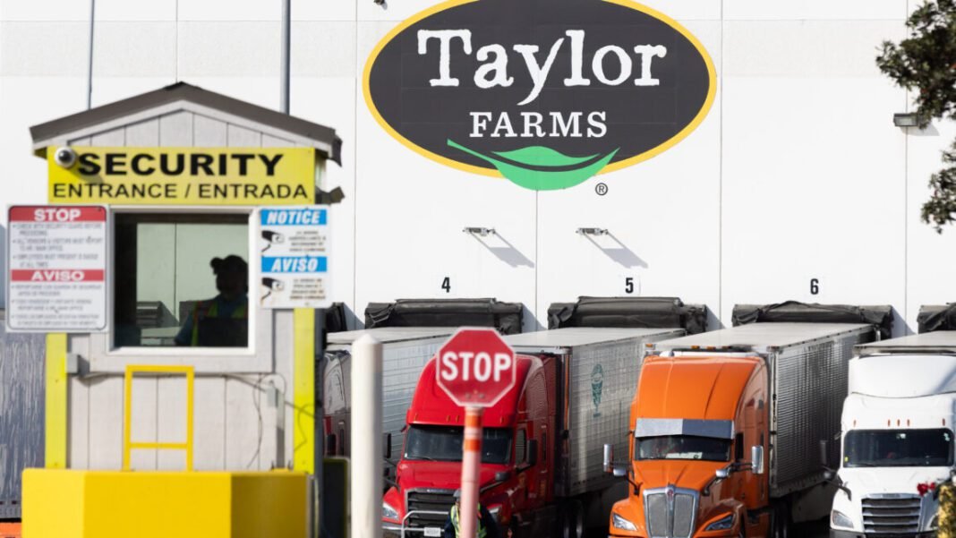 taylor-farms’-connections-to-trump-admin-spurs-probe-into-cyclospora-response taylor-farms’-connections-to-trump-admin-spurs-probe-into-cyclospora-response