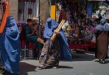 5-years-of-gender-erasure:-afghan-women-describe-forced-exile,-systematic-oppression-under-taliban-rule