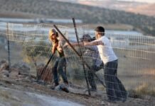 amnesty:-israeli-state-backs-escalation-of-settler-violence-in-occupied-west-bank