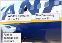 bird-remains-found-aboard-737-engine-from-ryanair-greek-incident