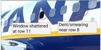 bird-remains-found-aboard-737-engine-from-ryanair-greek-incident