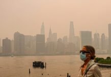 Wildfire smoke now bigger prenatal threat than human sources of air pollution wildfire-smoke-now-bigger-prenatal-threat-than-human-sources-of-air-pollution