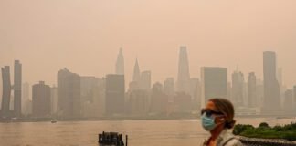 Wildfire smoke now bigger prenatal threat than human sources of air pollution wildfire-smoke-now-bigger-prenatal-threat-than-human-sources-of-air-pollution