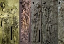 theban-tomb-reveals-how-egyptian-burial-trends-evolved-in-time