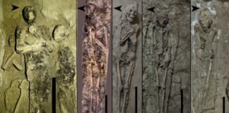 theban-tomb-reveals-how-egyptian-burial-trends-evolved-in-time