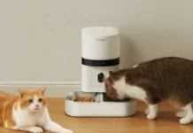 petlibro-accused-of-“gaslighting”-users-over-smart-pet-feeder-outage