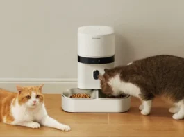 petlibro-accused-of-“gaslighting”-users-over-smart-pet-feeder-outage