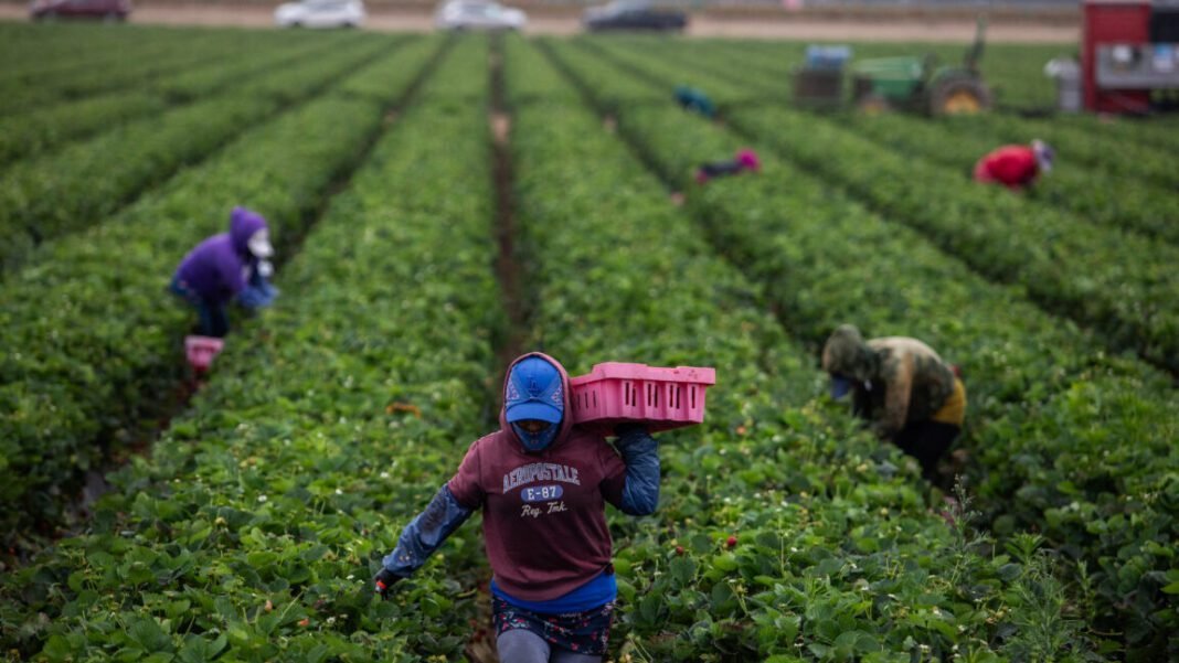 as-temperatures-get-hotter,-pesticides-are-more-dangerous-to-farmworkers