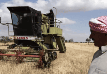 can-syria-do-without-russian-wheat? 