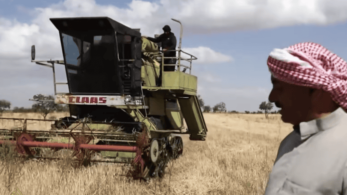 can-syria-do-without-russian-wheat? 
