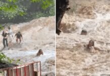 video-shows-tourists-wiped-out-by-flash-flood