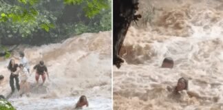 video-shows-tourists-wiped-out-by-flash-flood