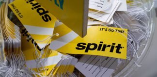 flight-attendants-freaked-out-that-google-is-buying-tons-of-spirit-employee-data