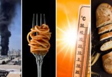Bread and pasta prices face fresh pressure from war and extreme heat bread-and-pasta-prices-face-fresh-pressure-from-war-and-extreme-heat
