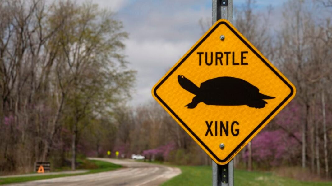 fcc-abolishes-gigabit-speed-goal,-suggesting-it-is-unfair-to-slower-technologies
